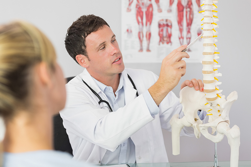 a chiropractor showing bones on a spine